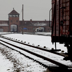 The living conditions in Auschwitz concentration camp were extremely hard.